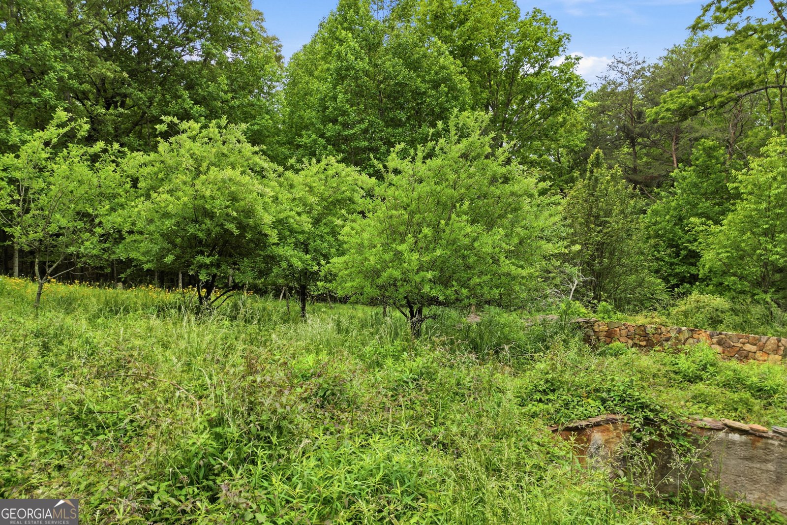 30 Tomcyn Lane Ellijay - Photo 11