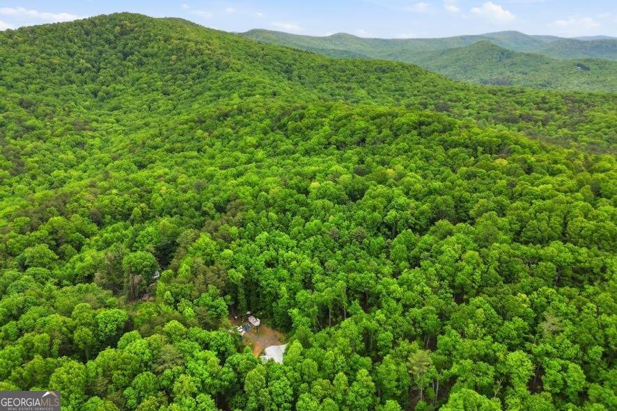 30 Tomcyn Lane Ellijay - Photo 14