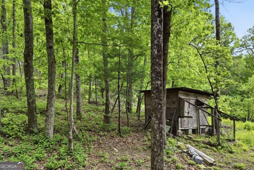 30 Tomcyn Lane Ellijay - Photo 8