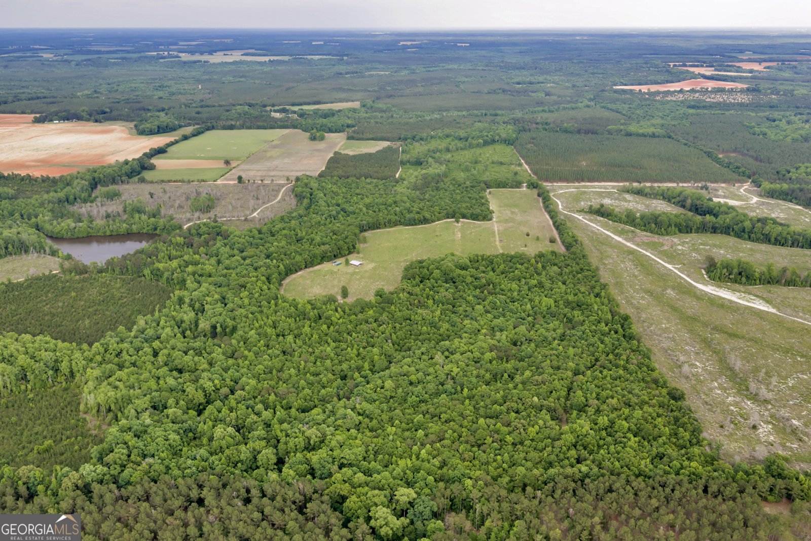 203 Gas Line Road Cuthbert - Photo 10