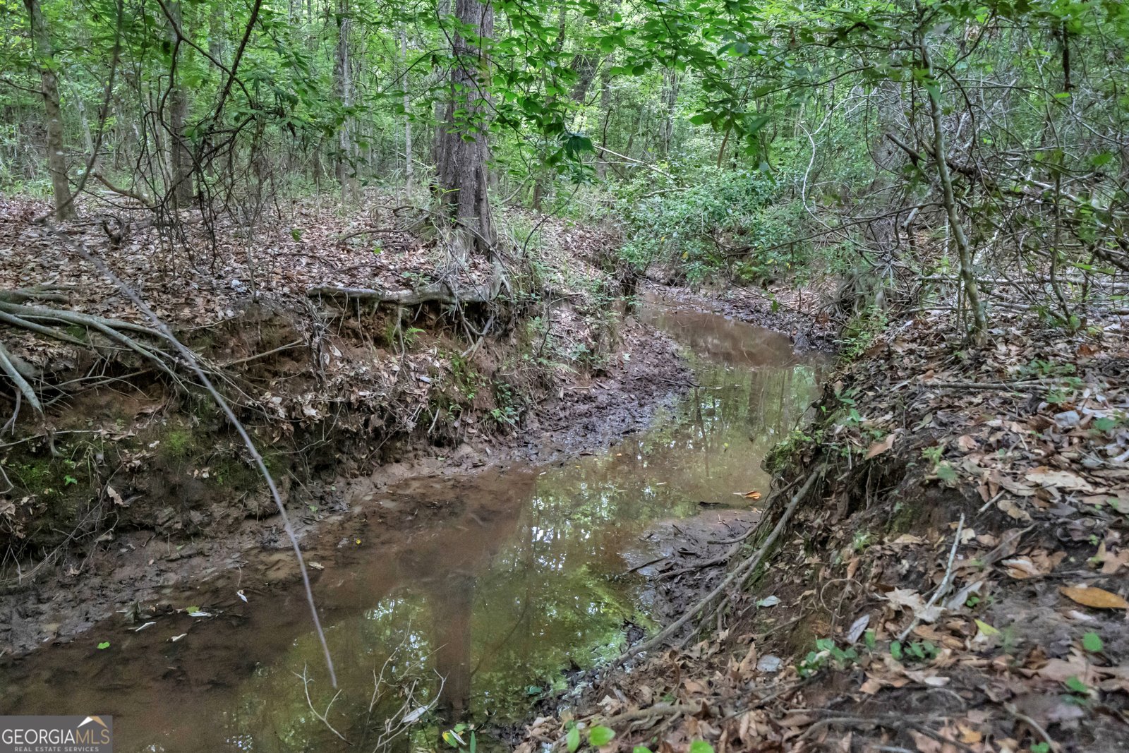 203 Gas Line Road Cuthbert - Photo 100