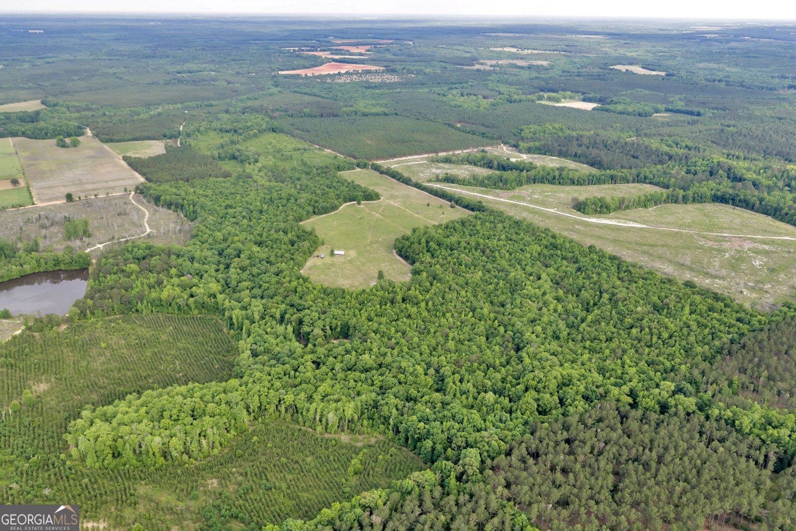 203 Gas Line Road Cuthbert - Photo 11