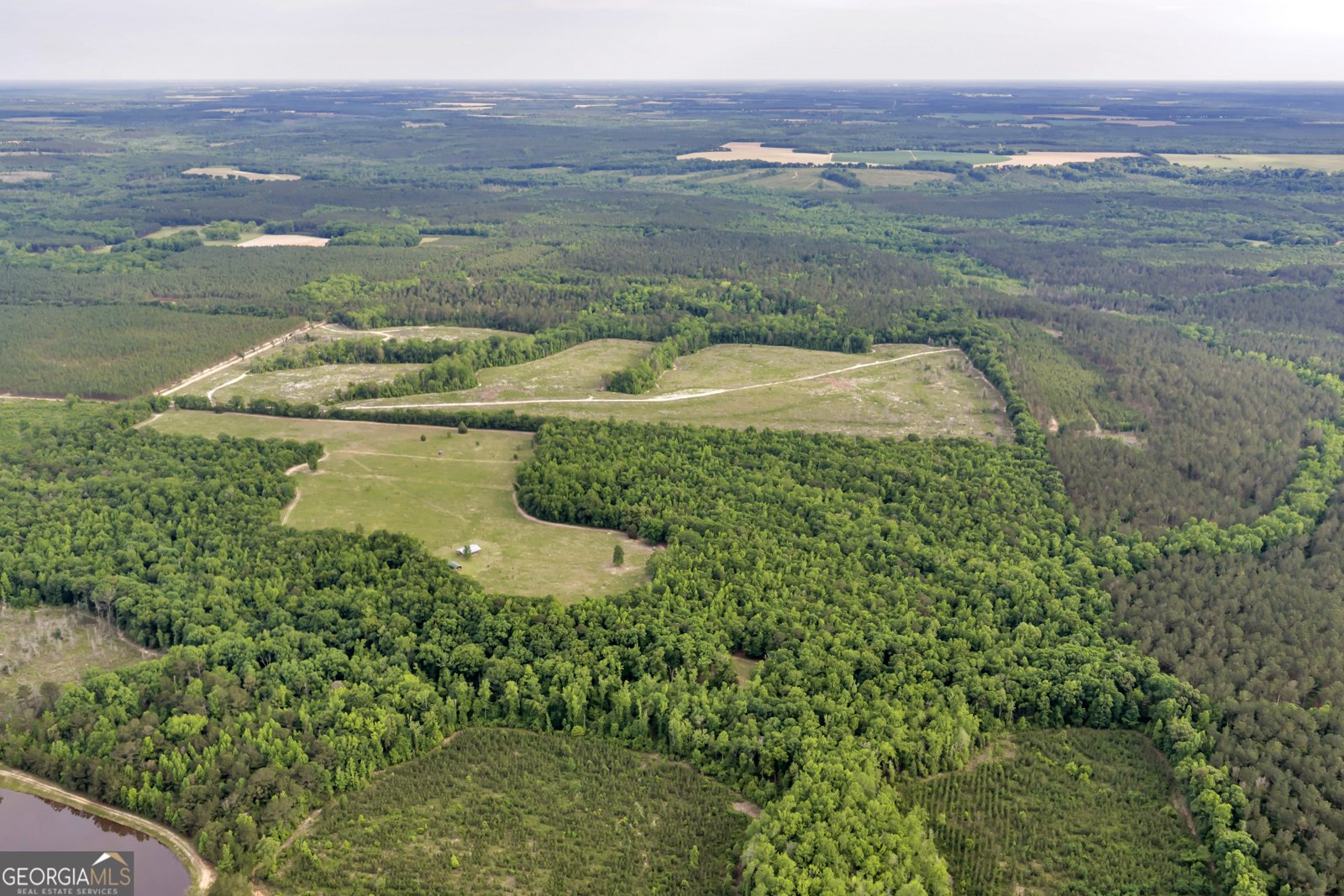 203 Gas Line Road Cuthbert - Photo 12