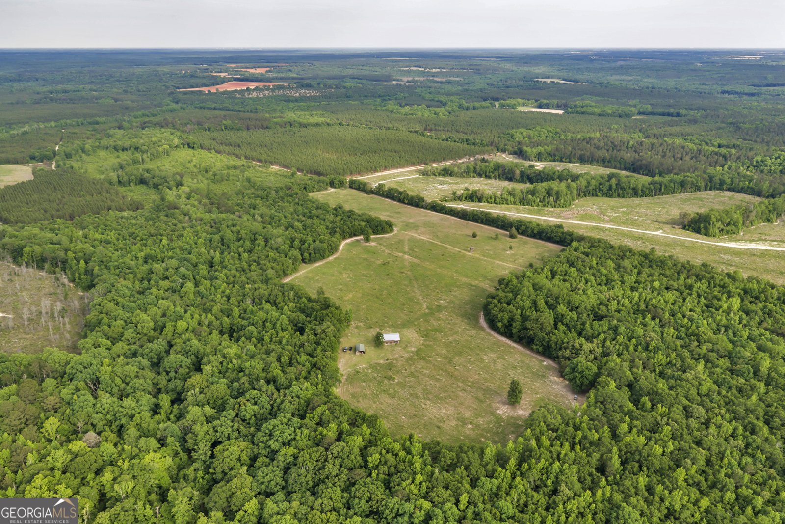 203 Gas Line Road Cuthbert - Photo 13