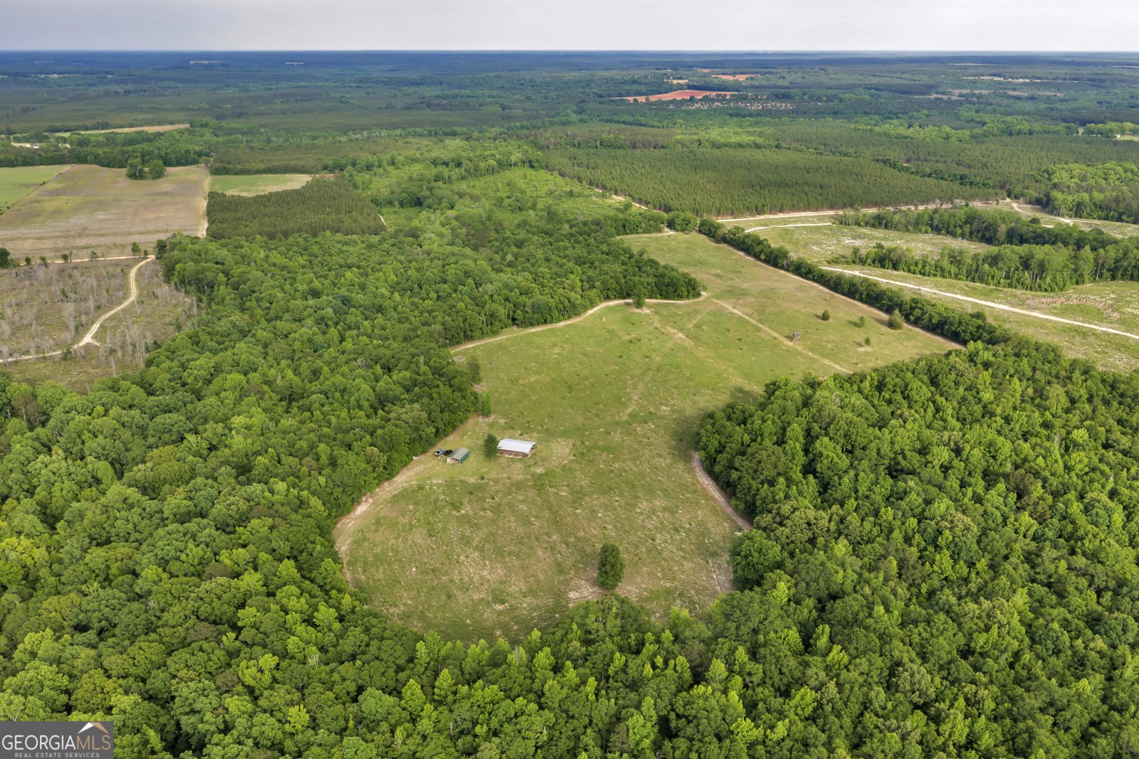203 Gas Line Road Cuthbert - Photo 14