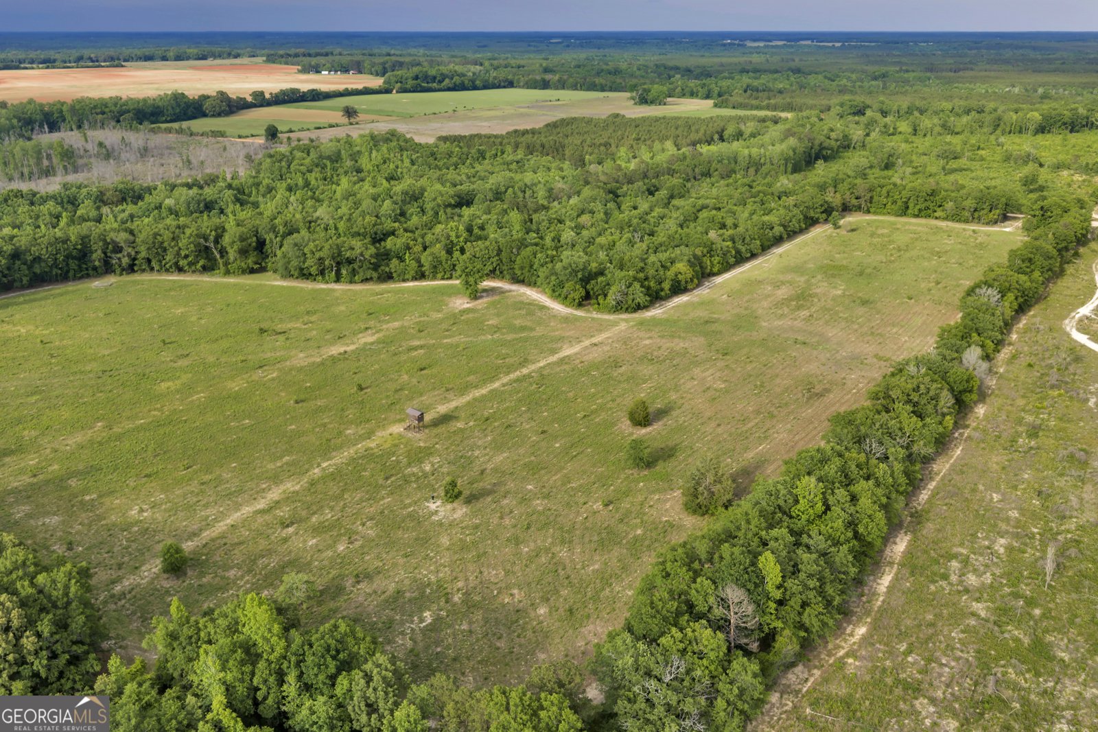 203 Gas Line Road Cuthbert - Photo 18