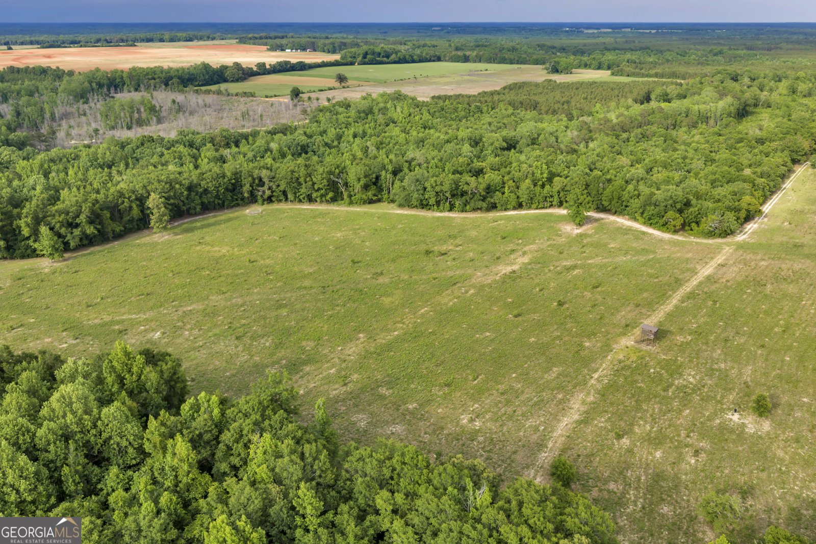 203 Gas Line Road Cuthbert - Photo 19