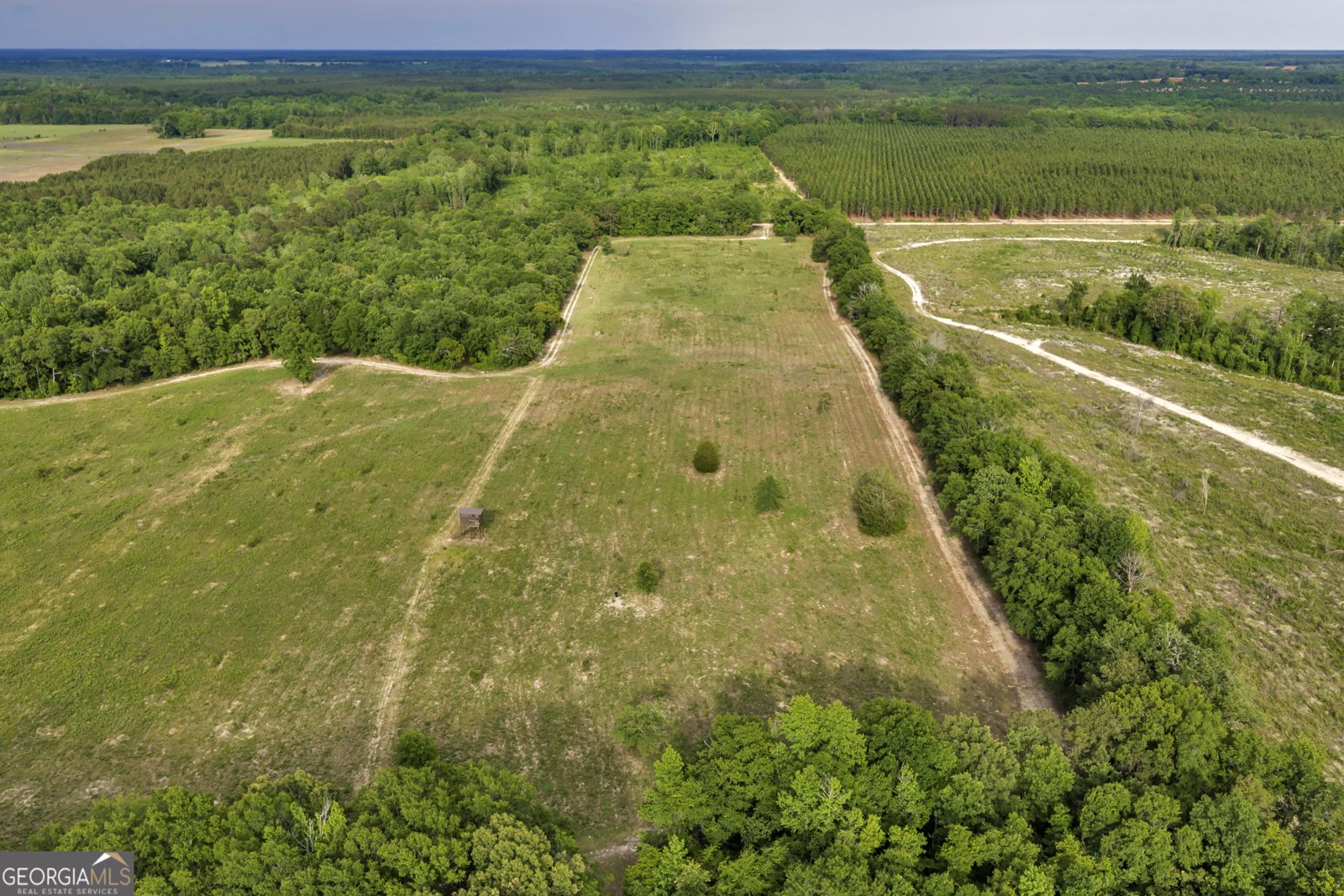 203 Gas Line Road Cuthbert - Photo 20
