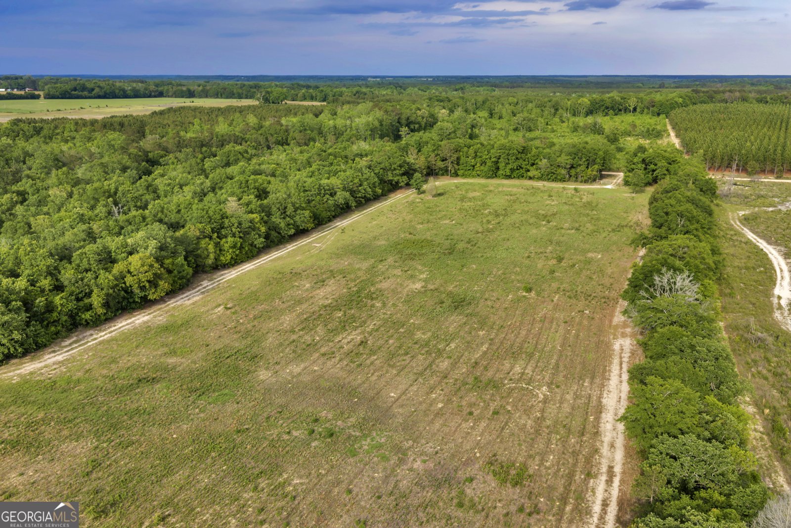 203 Gas Line Road Cuthbert - Photo 21