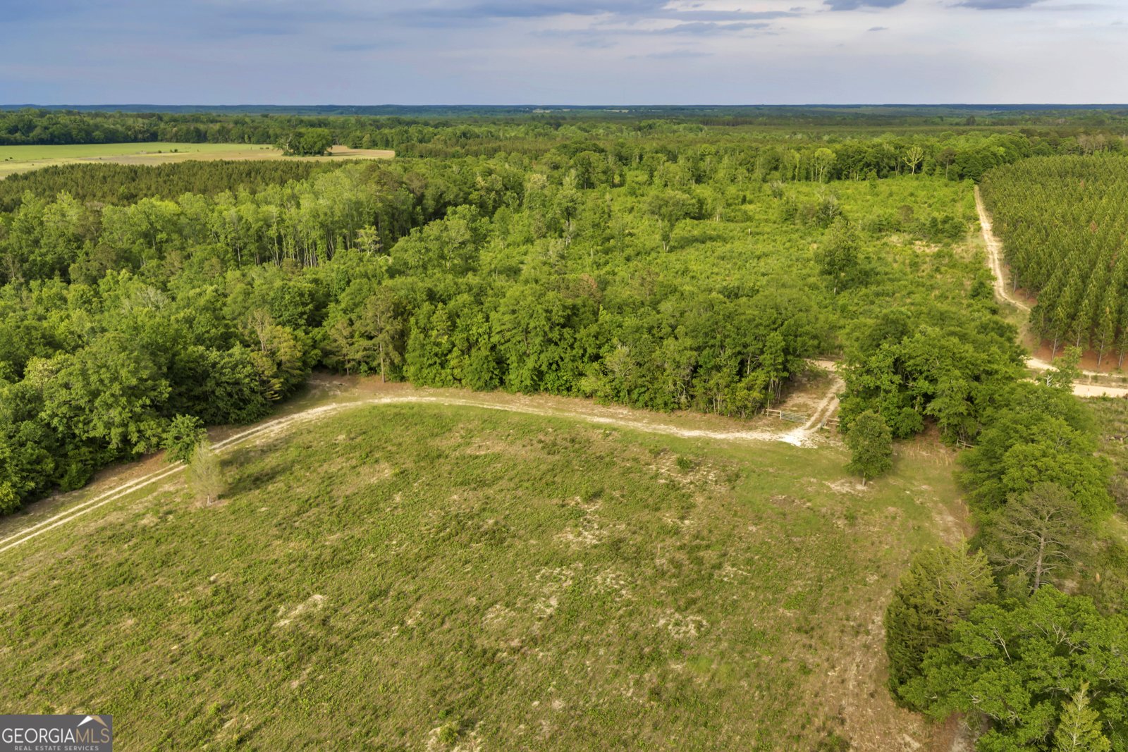 203 Gas Line Road Cuthbert - Photo 22