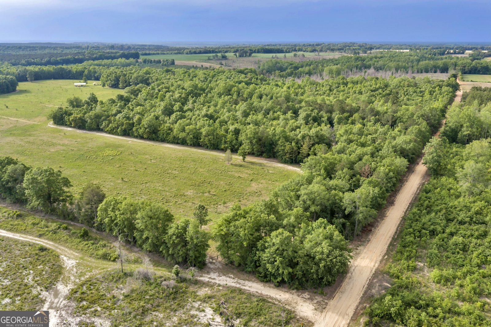 203 Gas Line Road Cuthbert - Photo 23