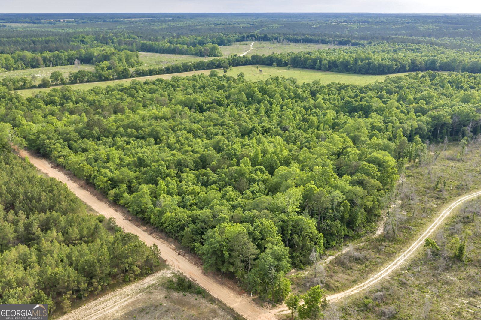 203 Gas Line Road Cuthbert - Photo 25