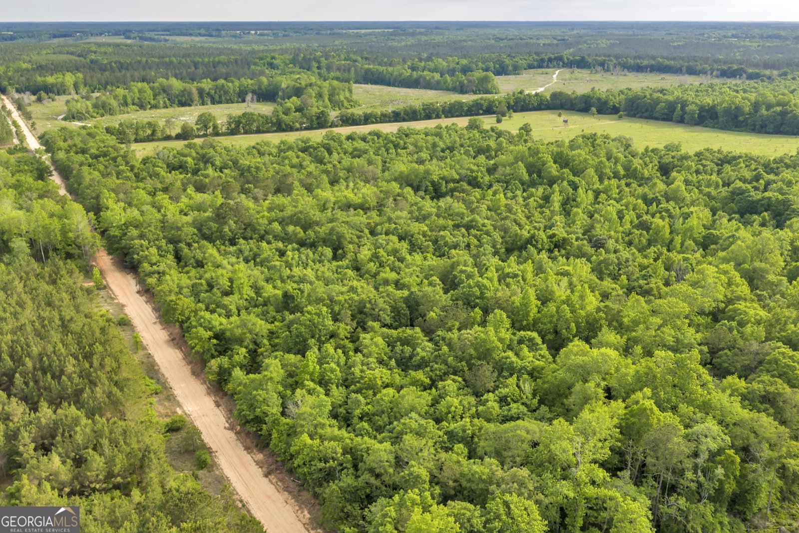 203 Gas Line Road Cuthbert - Photo 26