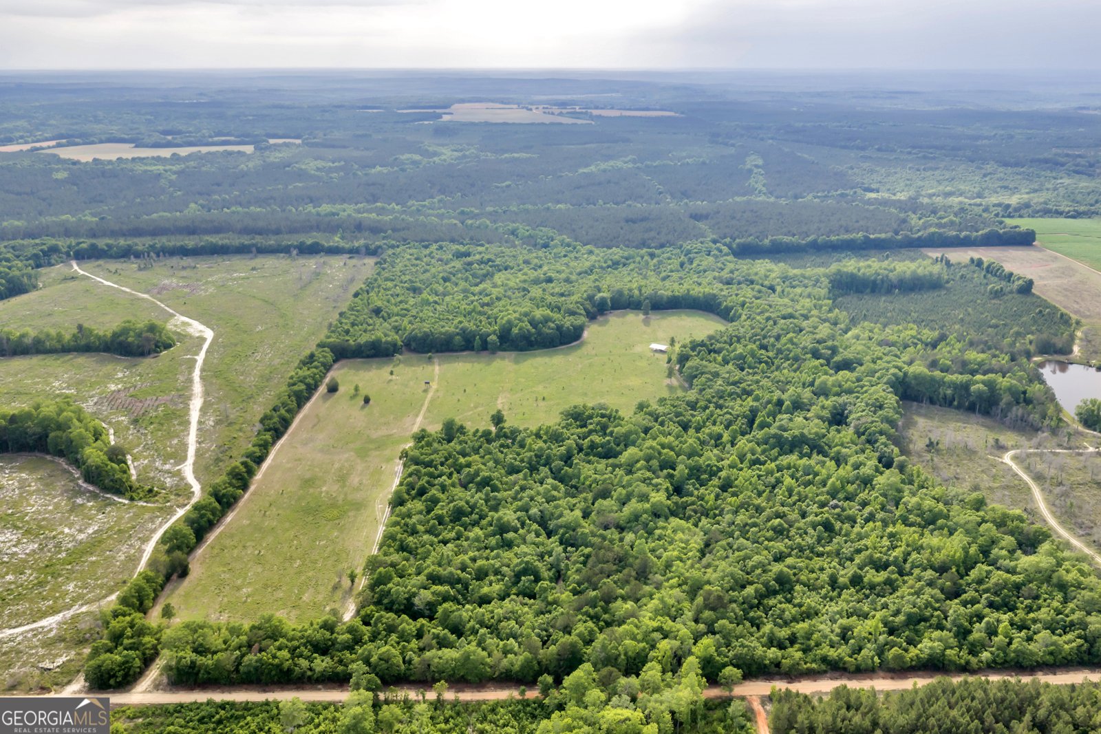 203 Gas Line Road Cuthbert - Photo 27