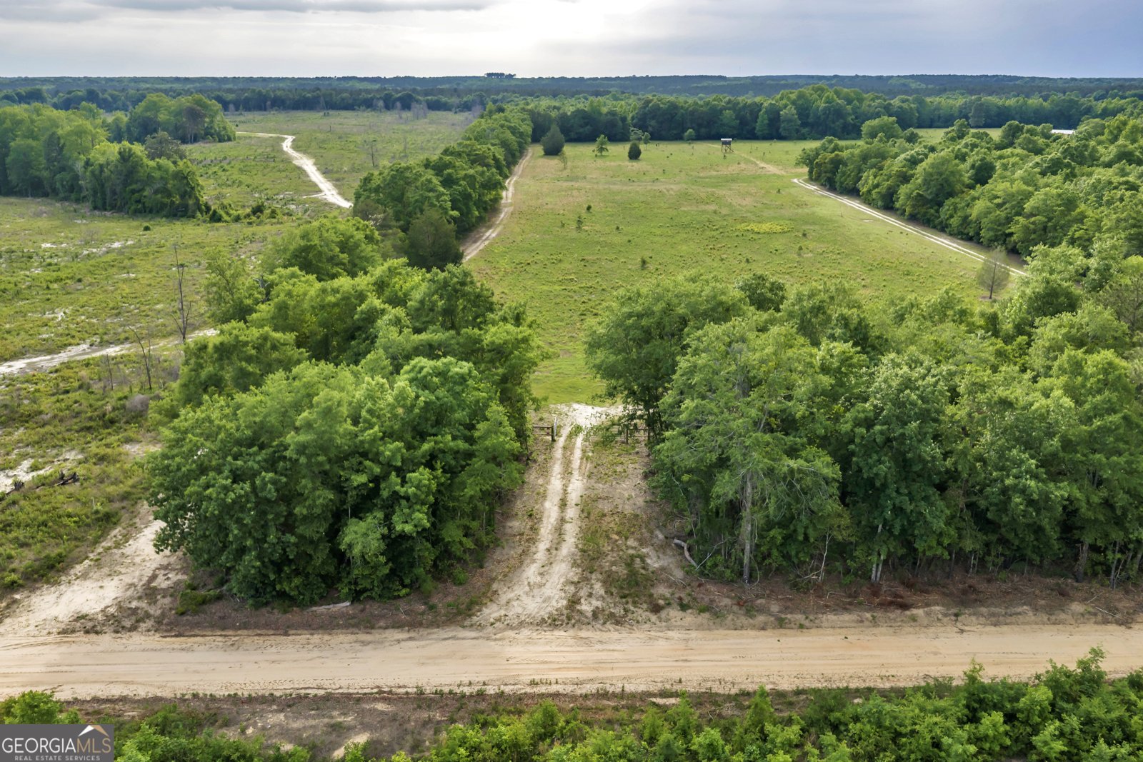 203 Gas Line Road Cuthbert - Photo 29