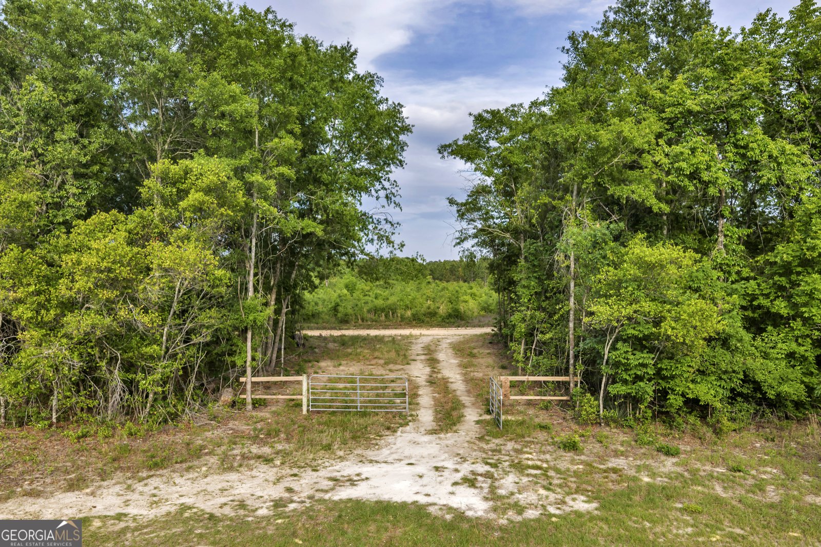 203 Gas Line Road Cuthbert - Photo 31