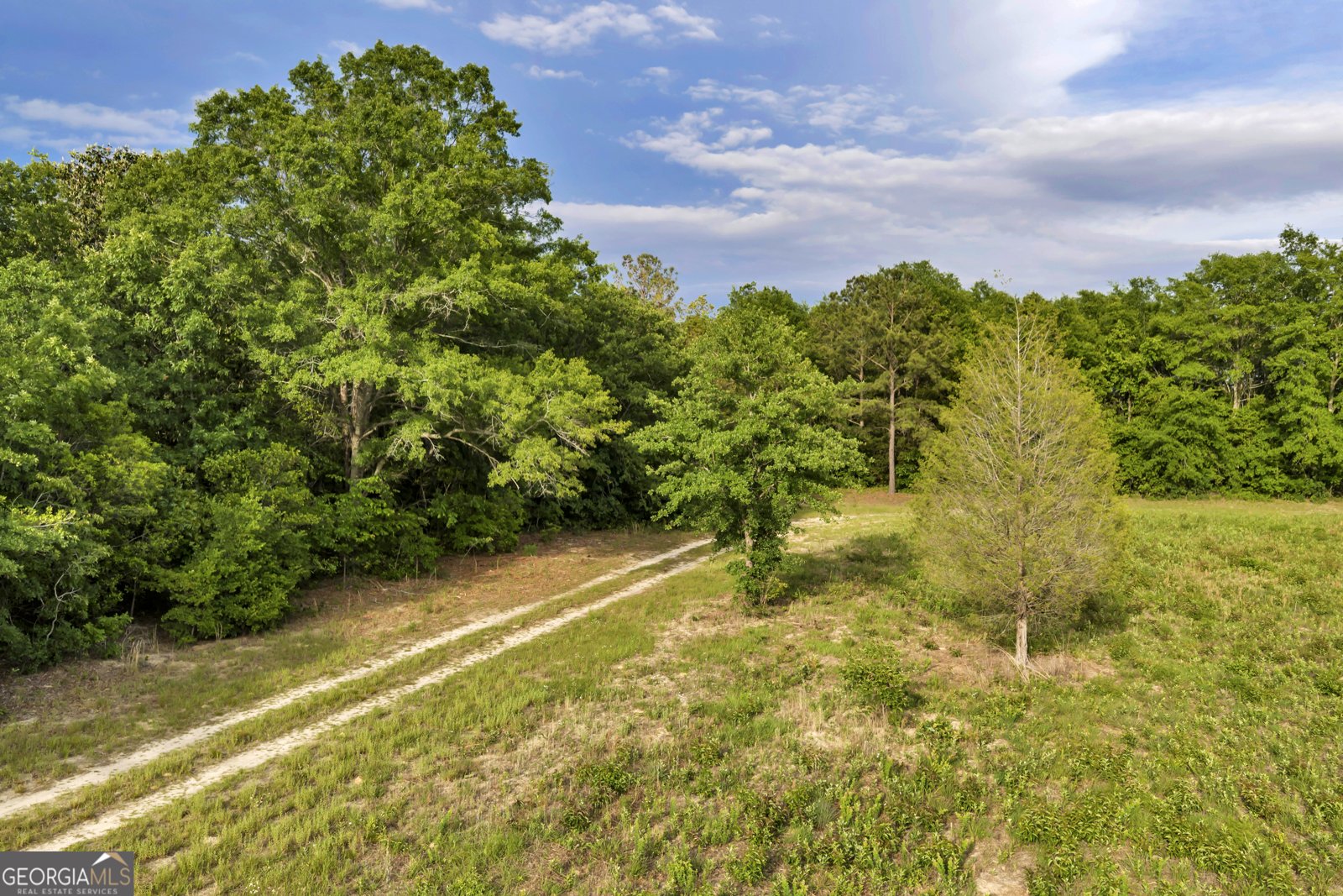 203 Gas Line Road Cuthbert - Photo 32