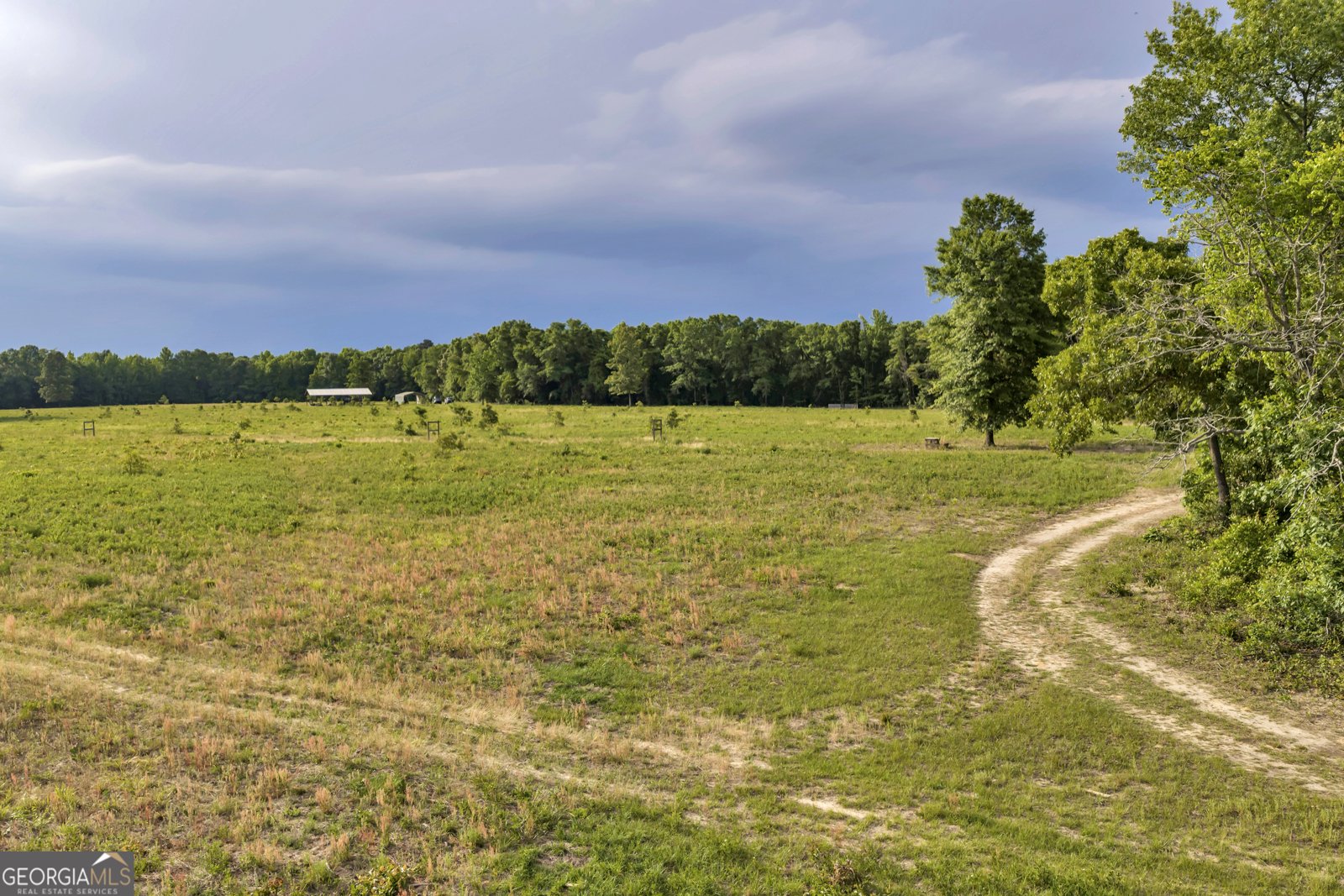 203 Gas Line Road Cuthbert - Photo 33