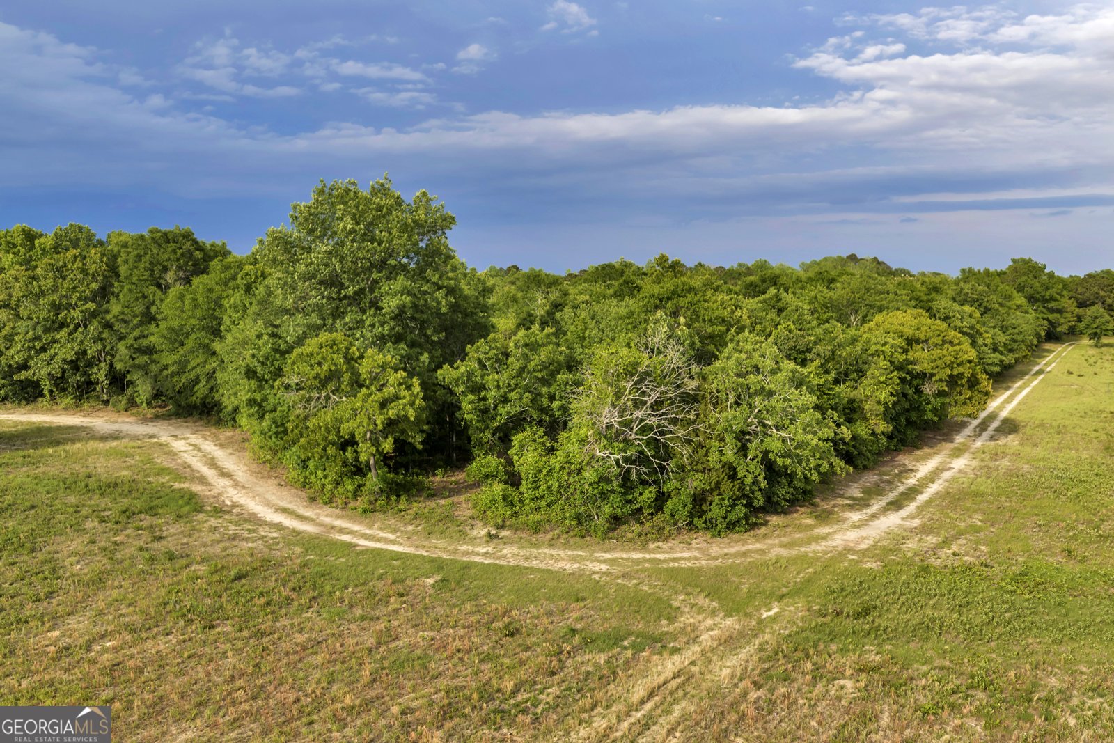 203 Gas Line Road Cuthbert - Photo 34