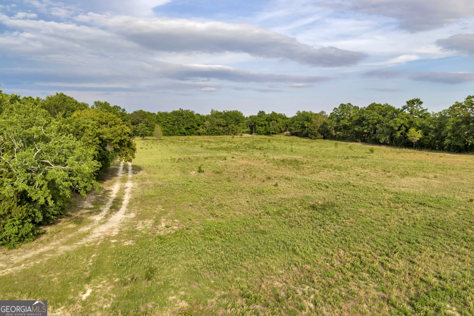 203 Gas Line Road Cuthbert - Photo 35