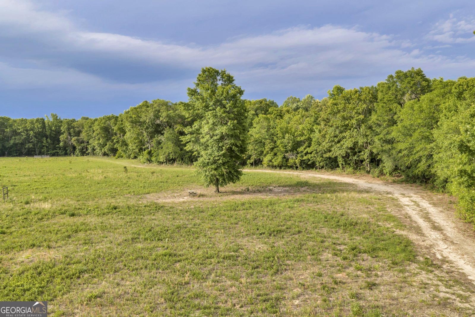 203 Gas Line Road Cuthbert - Photo 36