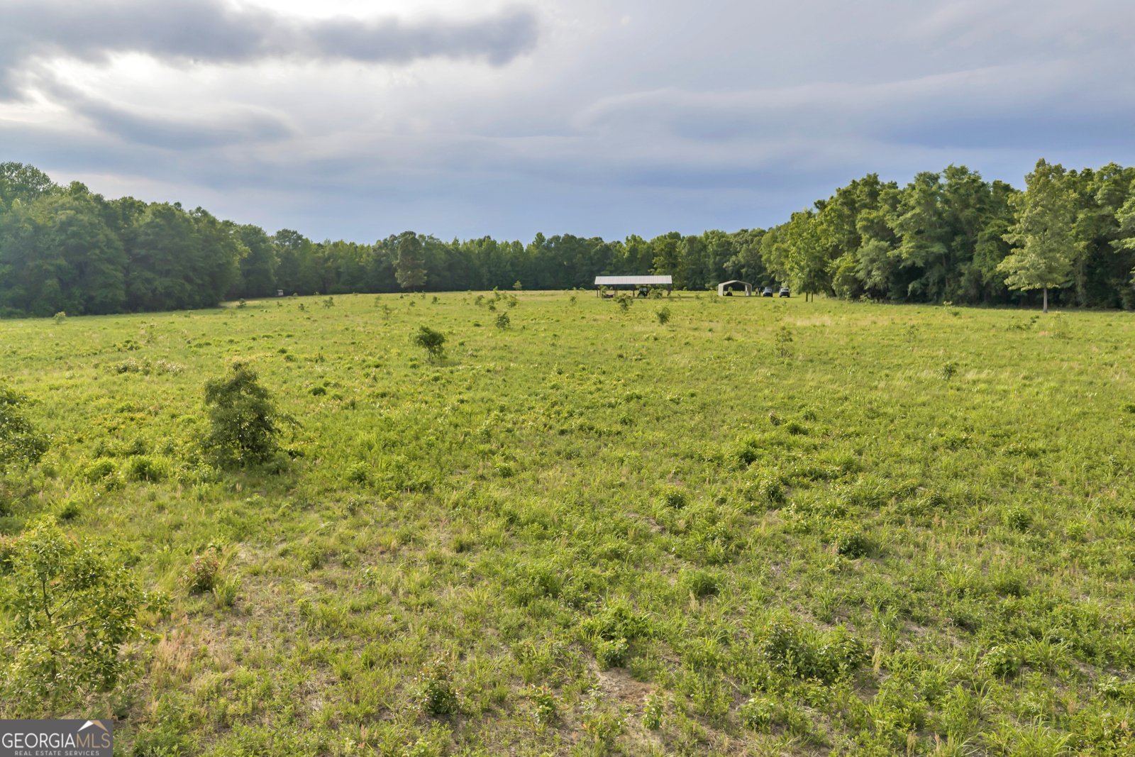 203 Gas Line Road Cuthbert - Photo 37