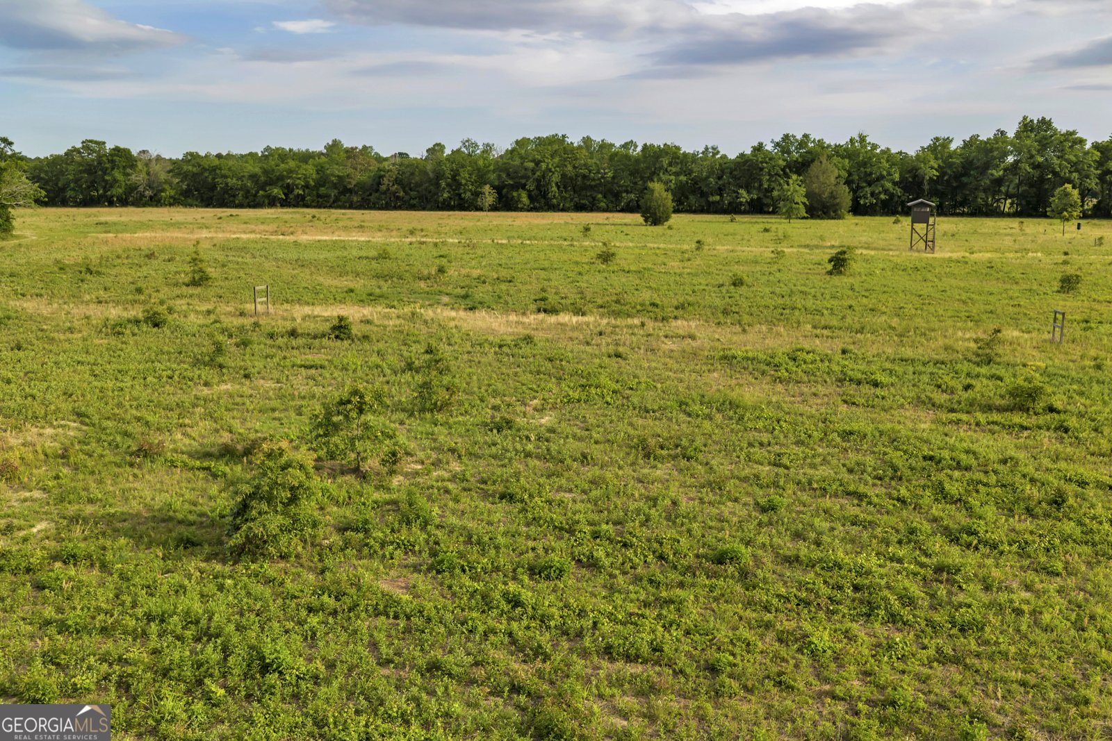 203 Gas Line Road Cuthbert - Photo 38