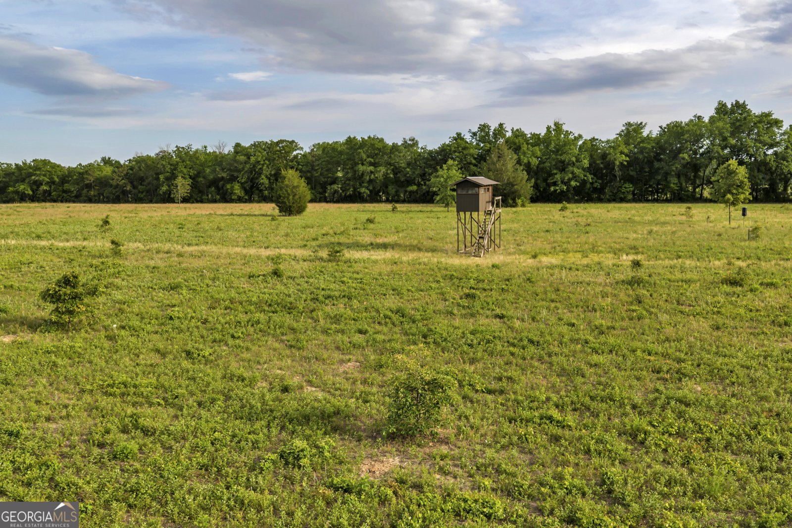 203 Gas Line Road Cuthbert - Photo 39