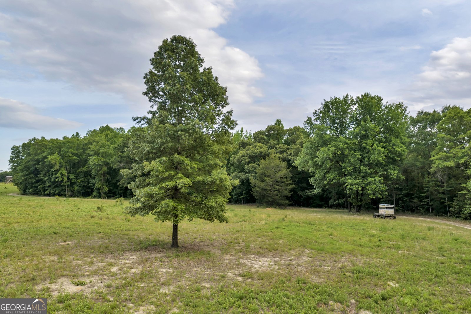 203 Gas Line Road Cuthbert - Photo 43