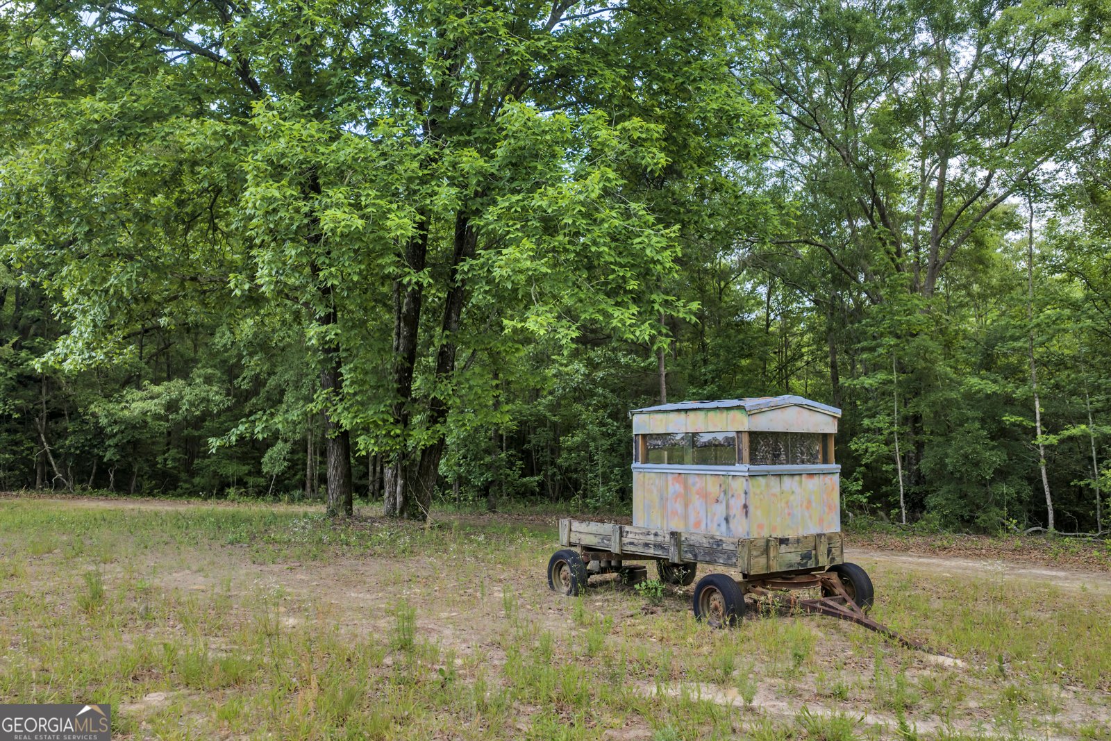 203 Gas Line Road Cuthbert - Photo 44
