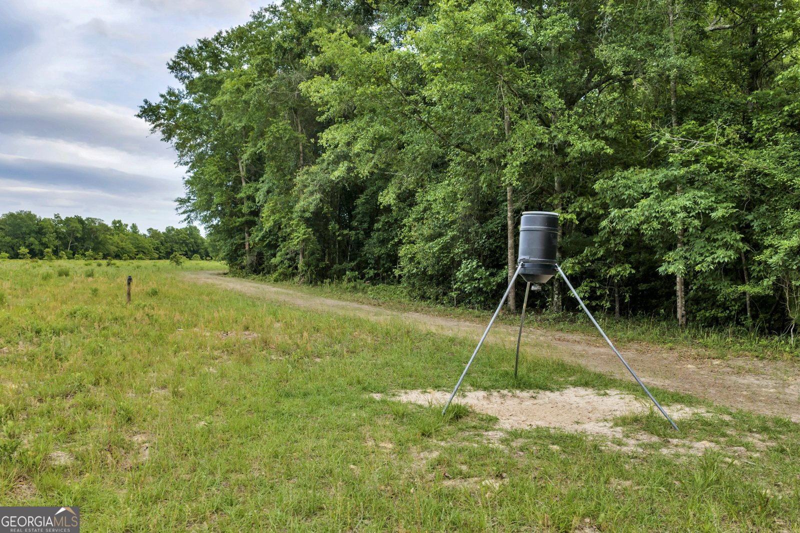 203 Gas Line Road Cuthbert - Photo 45