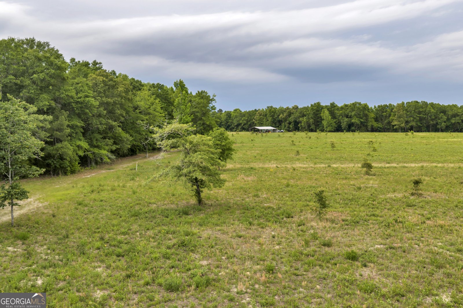 203 Gas Line Road Cuthbert - Photo 47