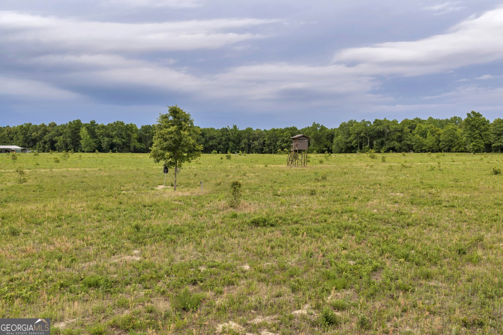 203 Gas Line Road Cuthbert - Photo 48