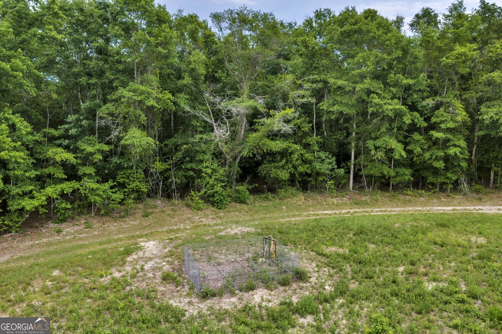 203 Gas Line Road Cuthbert - Photo 54