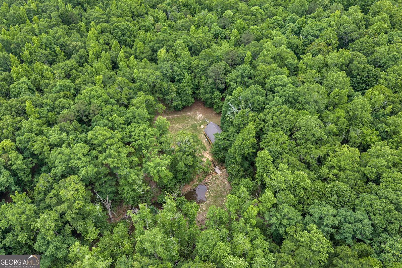 203 Gas Line Road Cuthbert - Photo 55