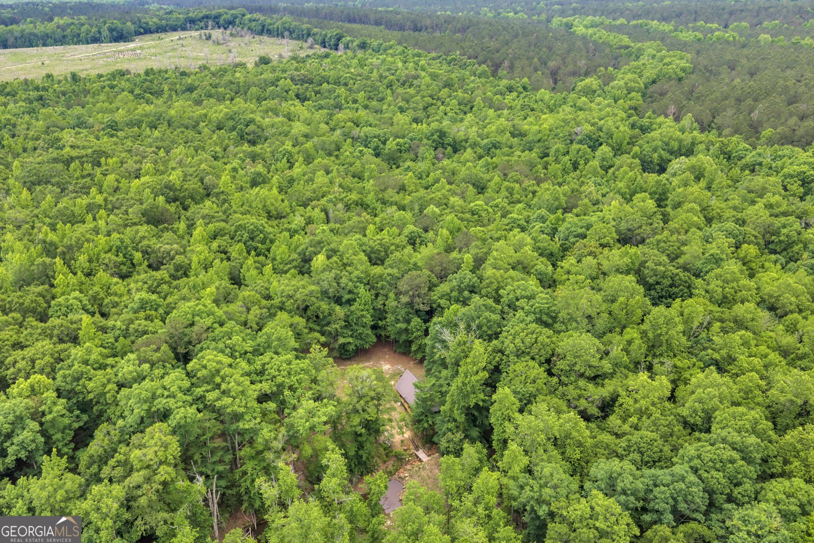203 Gas Line Road Cuthbert - Photo 56