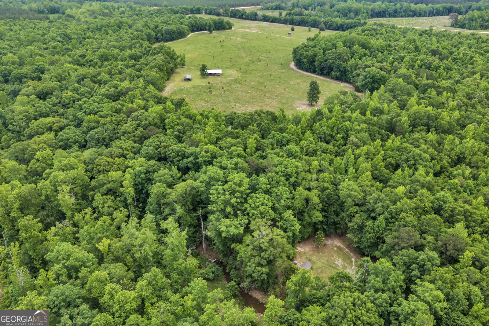 203 Gas Line Road Cuthbert - Photo 57