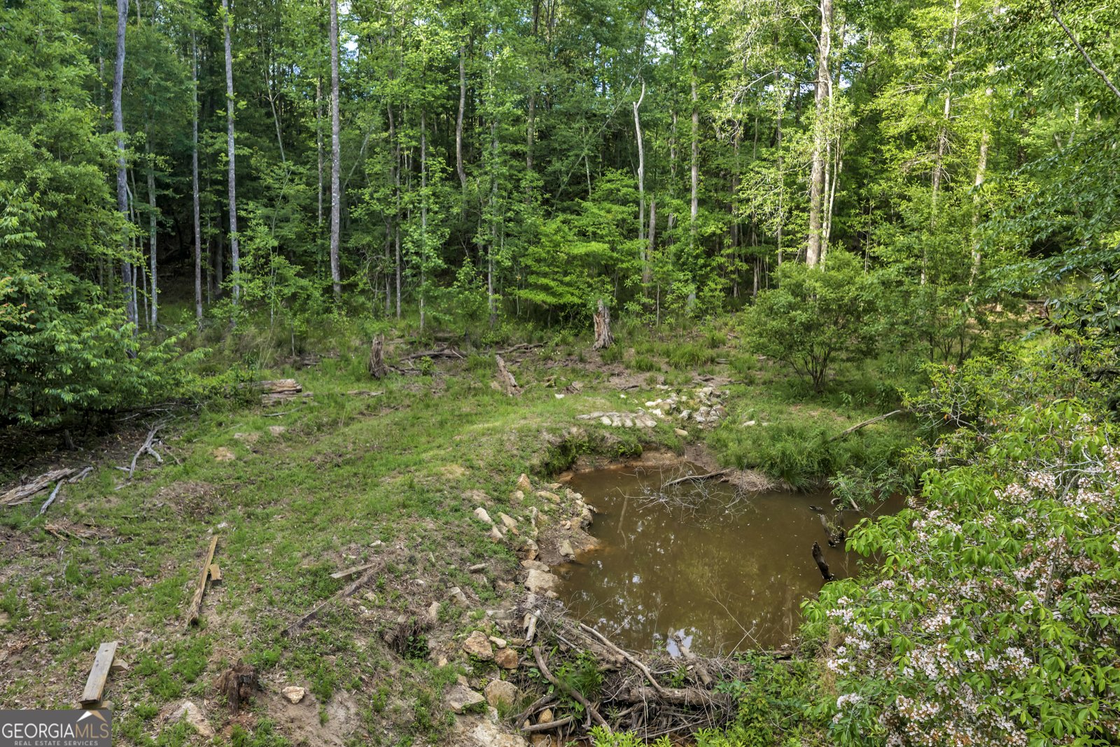 203 Gas Line Road Cuthbert - Photo 6