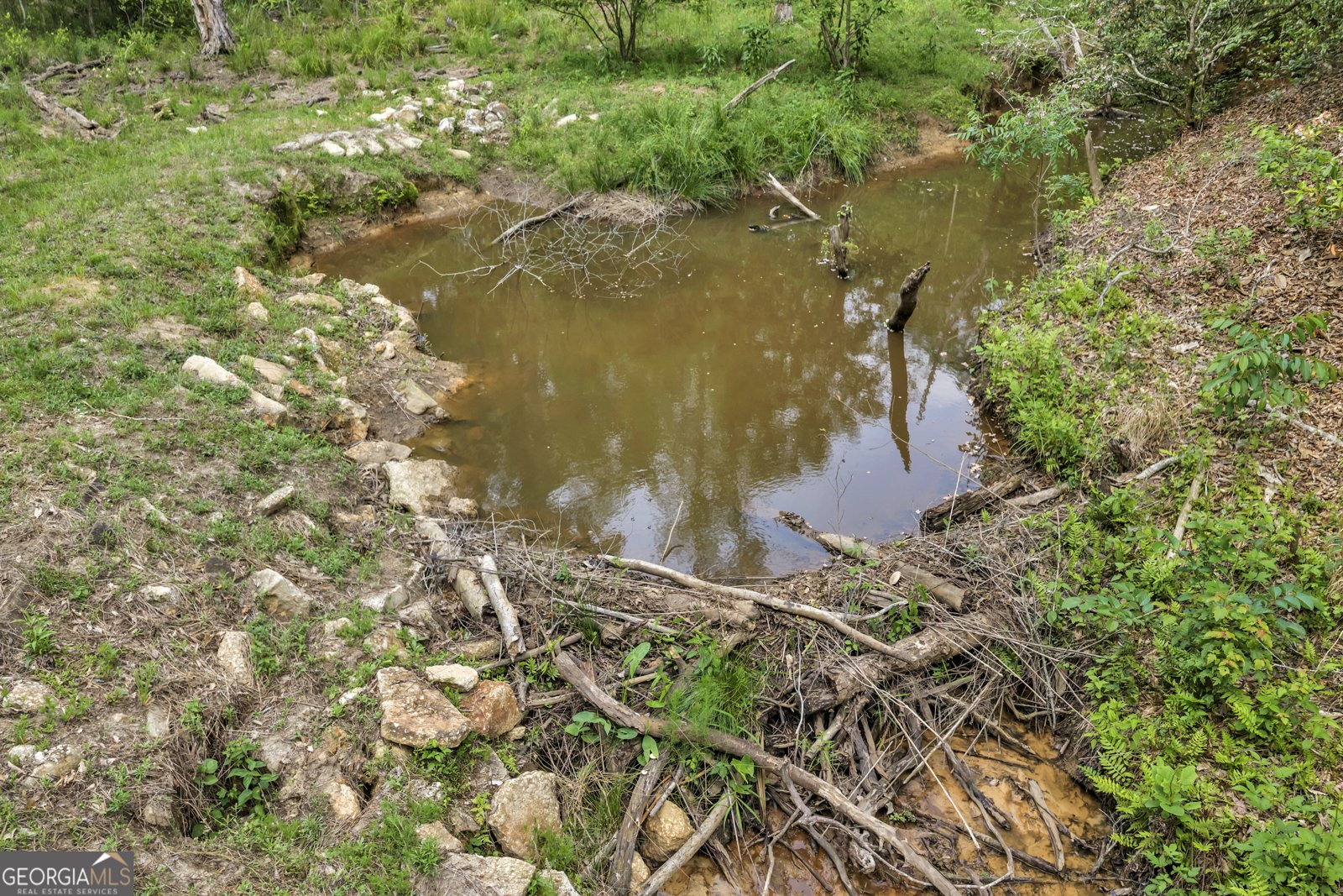 203 Gas Line Road Cuthbert - Photo 8