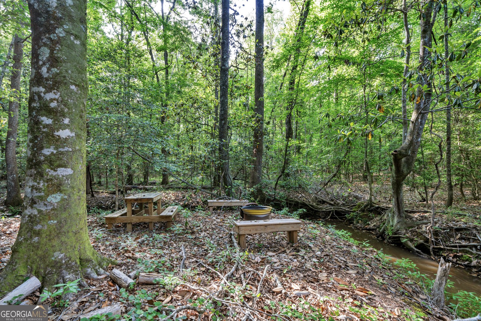 203 Gas Line Road Cuthbert - Photo 83