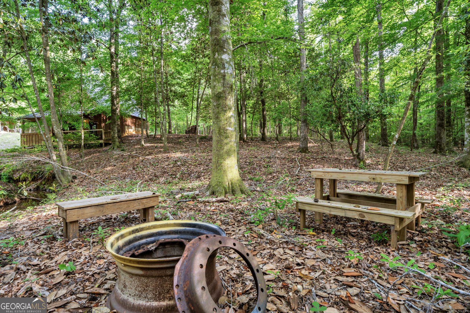 203 Gas Line Road Cuthbert - Photo 84