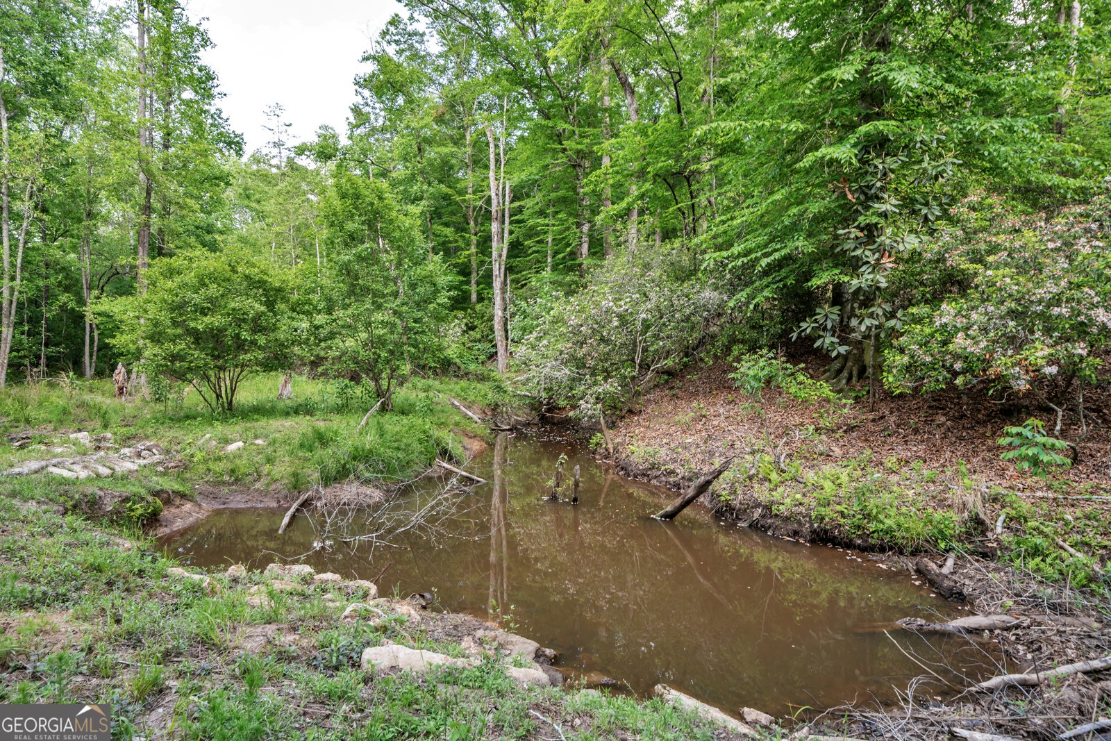 203 Gas Line Road Cuthbert - Photo 86