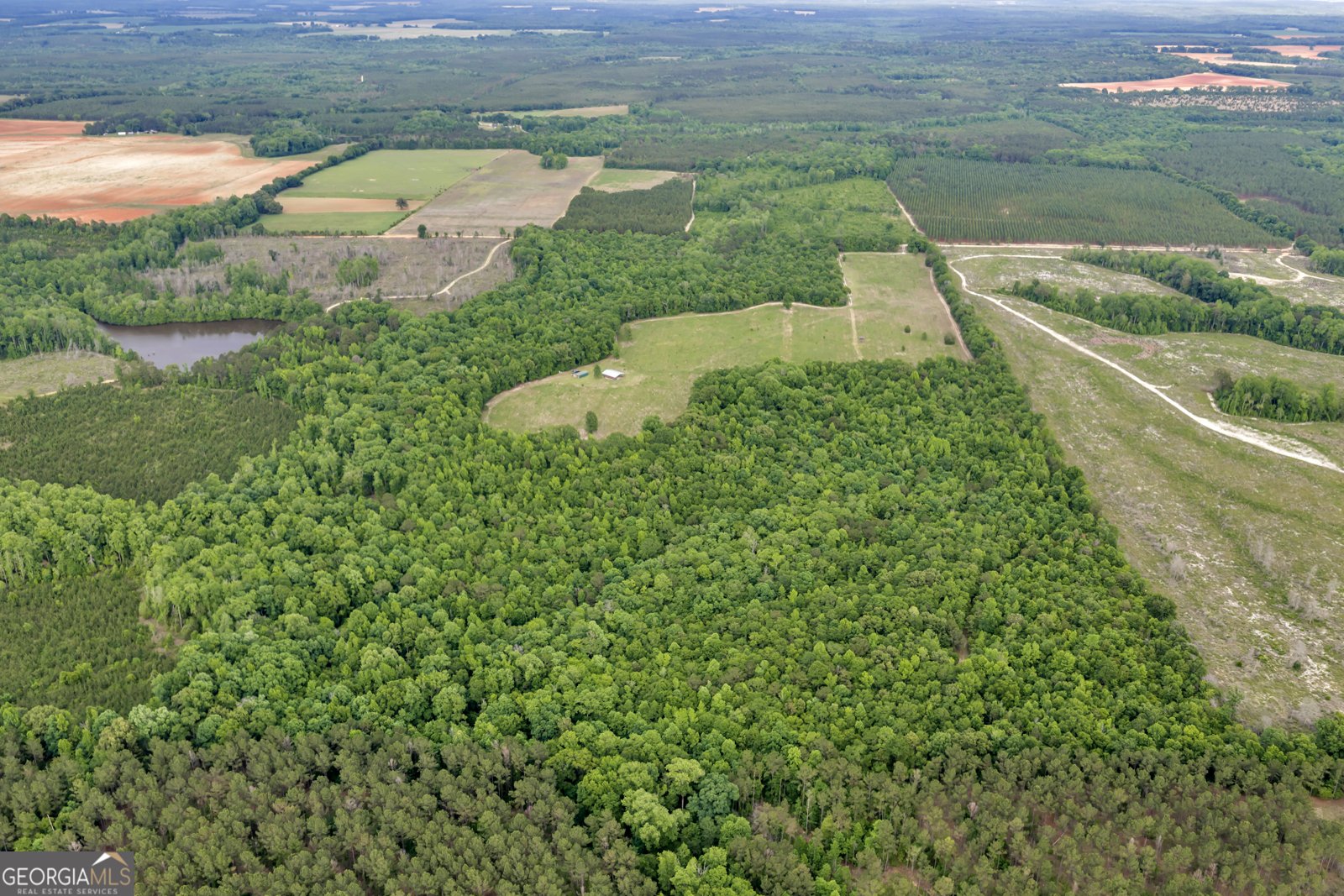 203 Gas Line Road Cuthbert - Photo 9