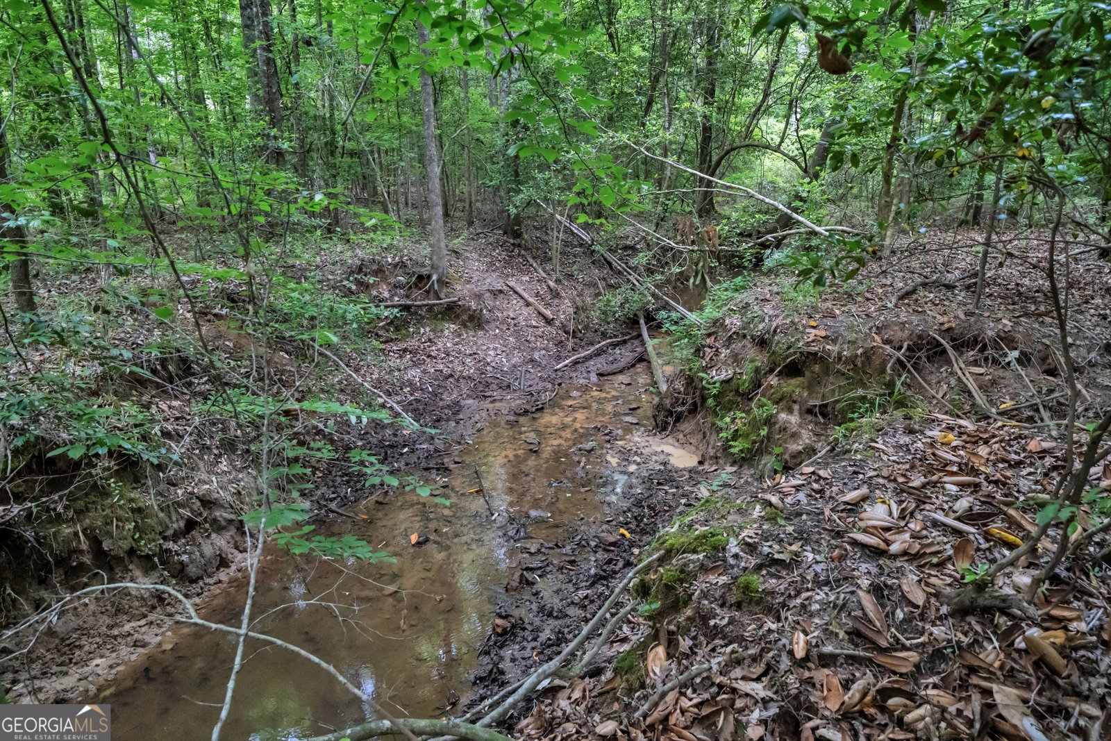203 Gas Line Road Cuthbert - Photo 95