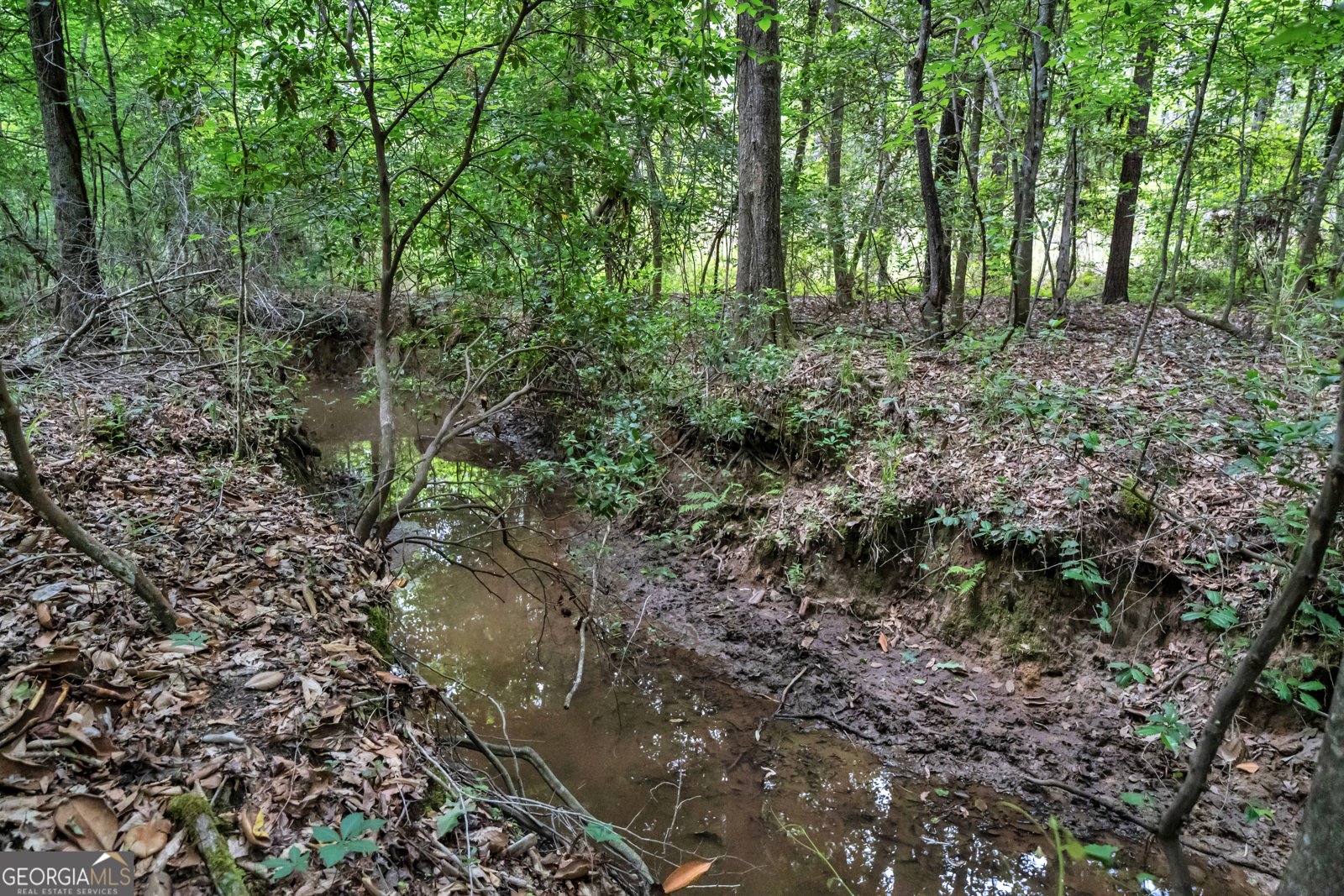 203 Gas Line Road Cuthbert - Photo 96