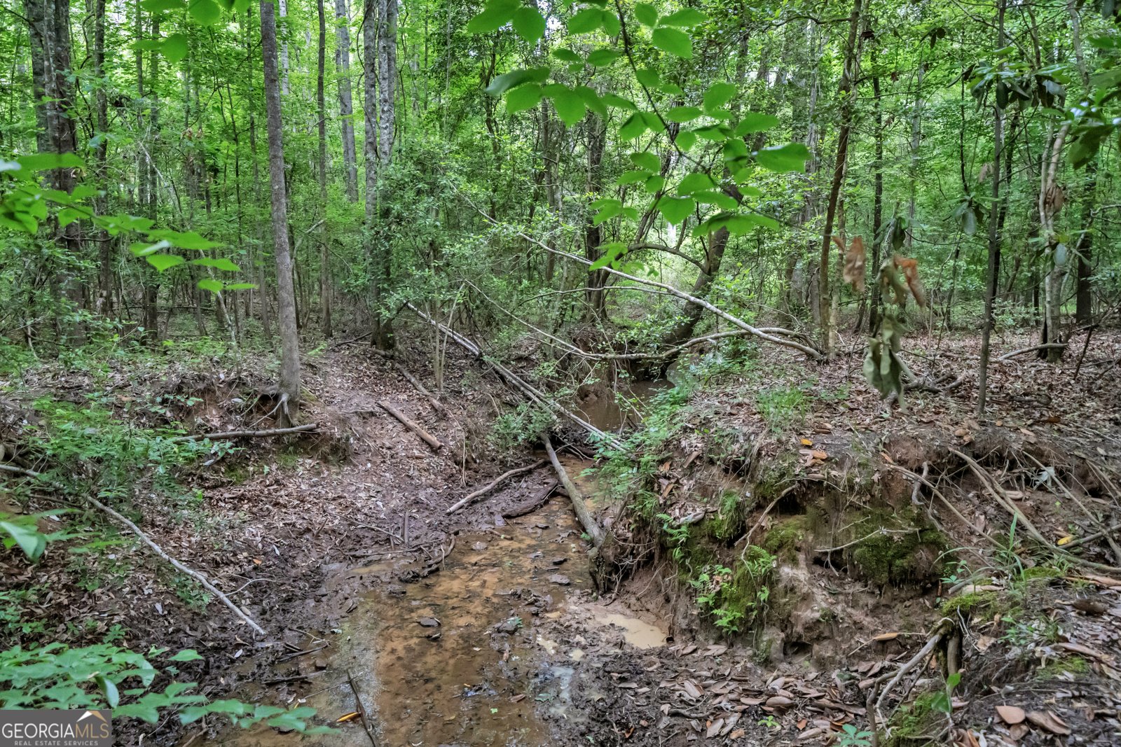 203 Gas Line Road Cuthbert - Photo 97