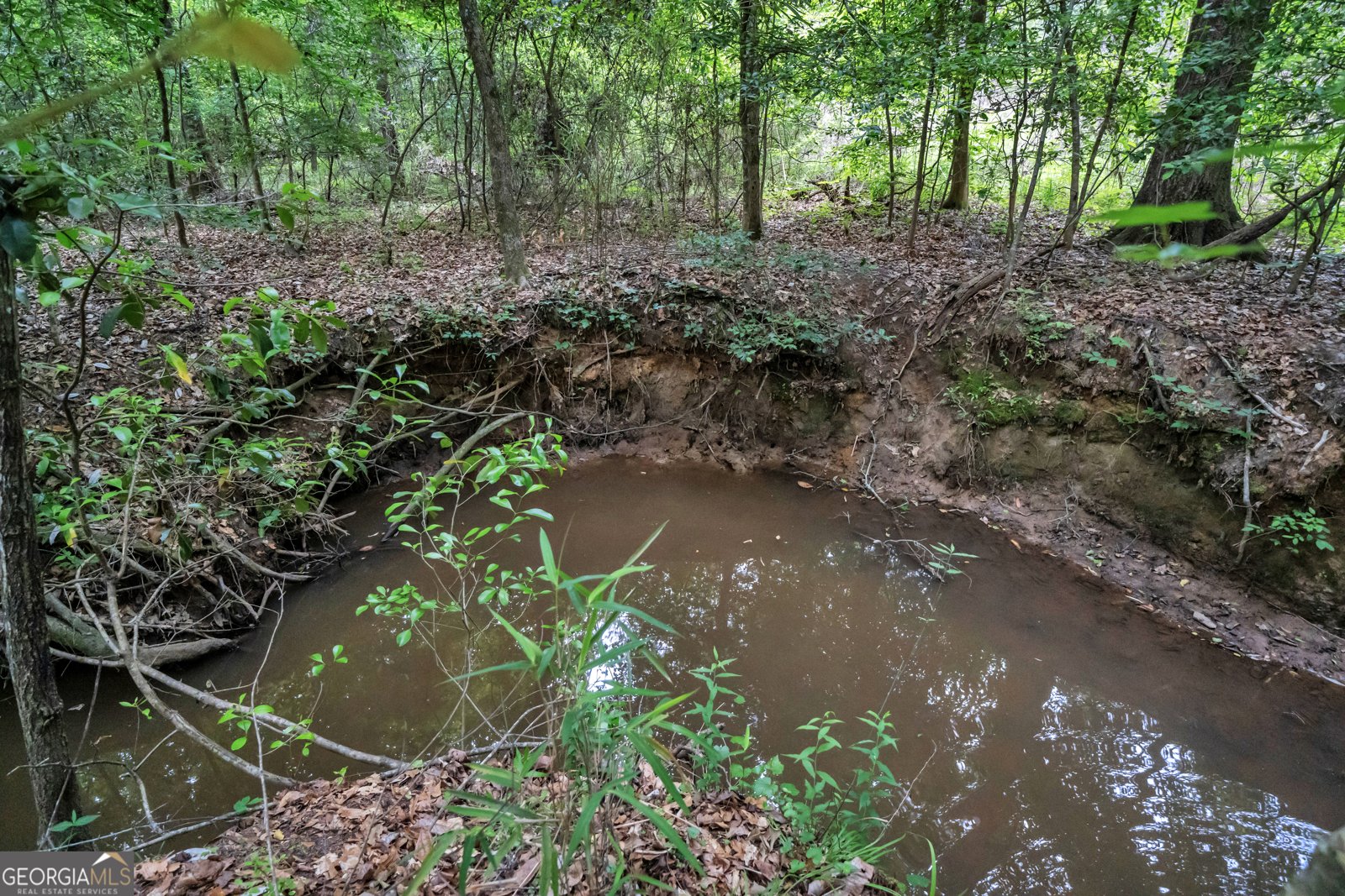 203 Gas Line Road Cuthbert - Photo 99