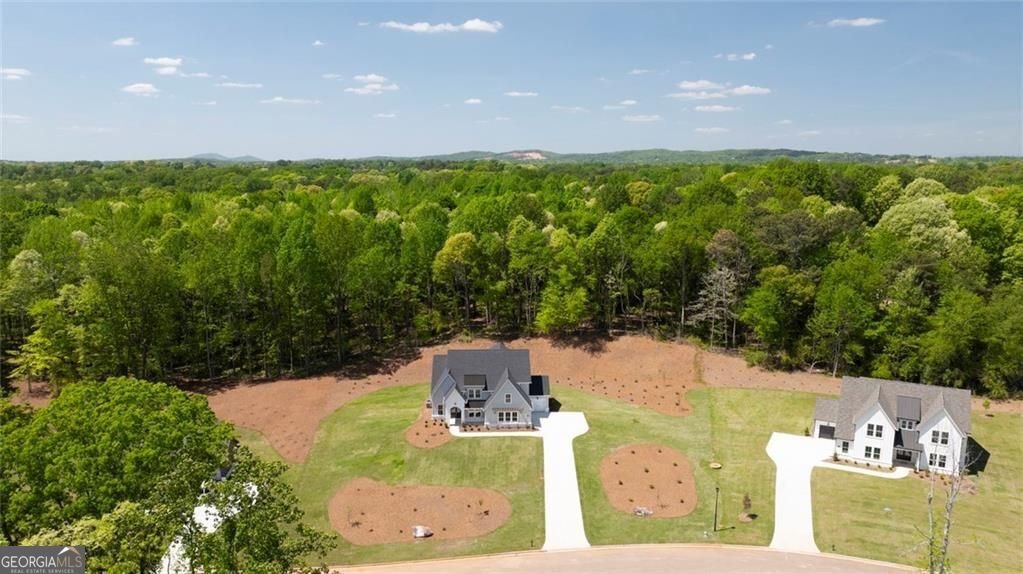 8330 Creekside Overlook Drive Gainesville - Photo 6