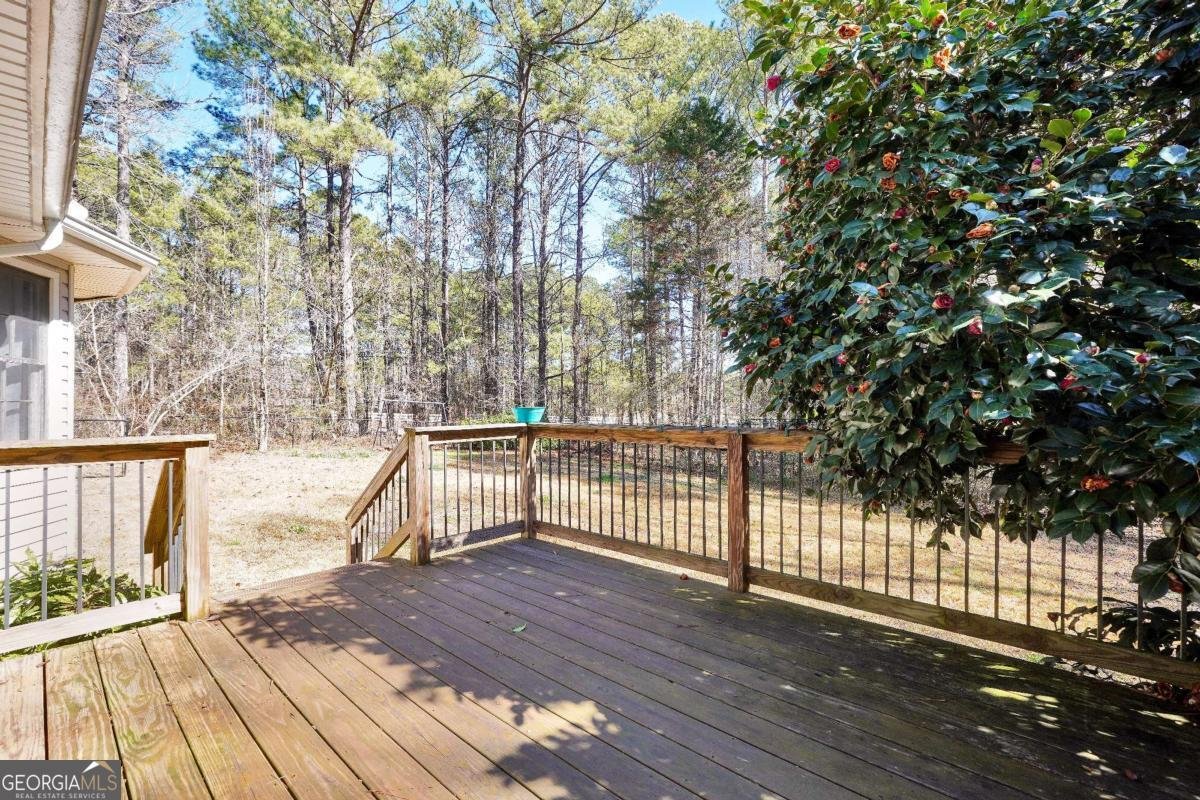 996 Coan Drive Locust Grove - Photo 19