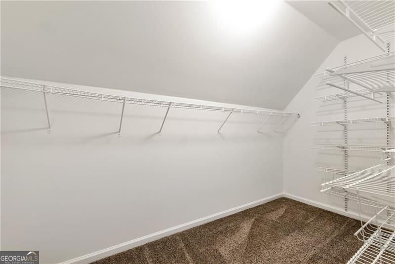 4041 Lost Mill Lane Buford - Photo 58